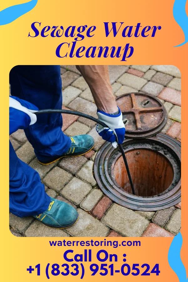 Sewage Water Cleanup in Silverton, TX